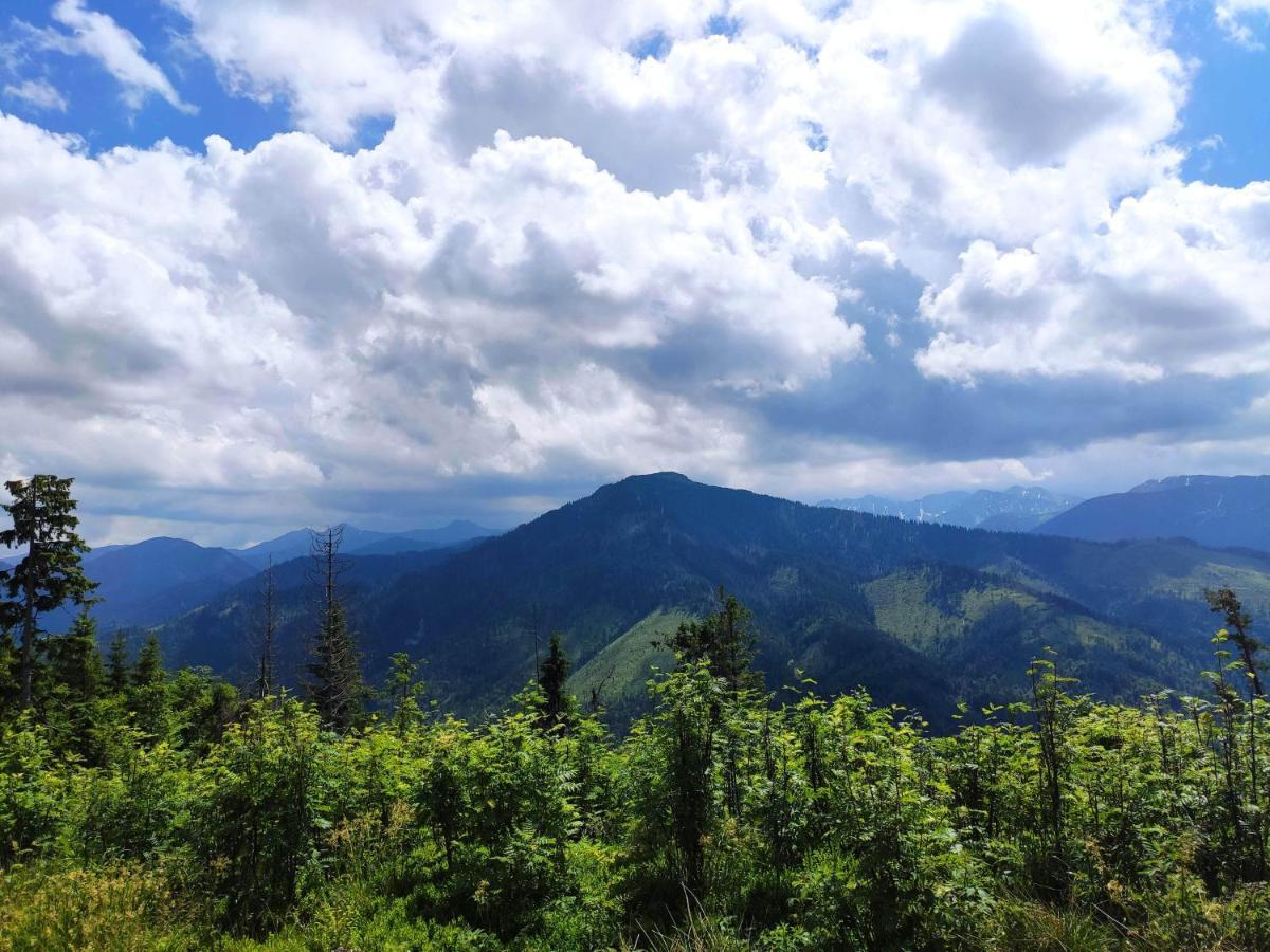 Western Tatras Slovakia Oravsky Biely Potok Exterior photo