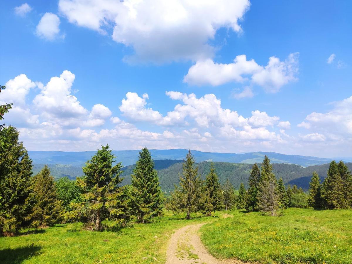 Western Tatras Slovakia Oravsky Biely Potok Exterior photo
